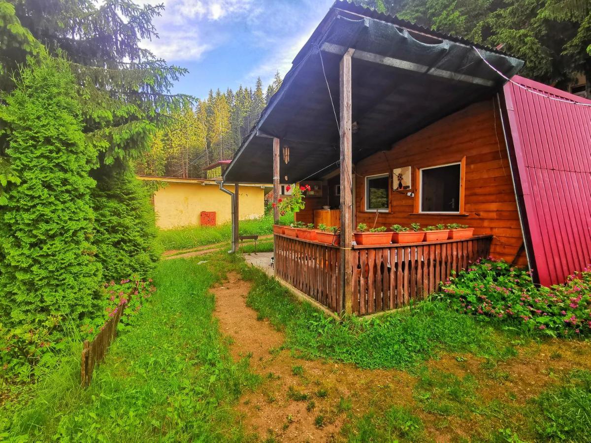 Orlino Holiday Park Sarnitsa Exterior foto